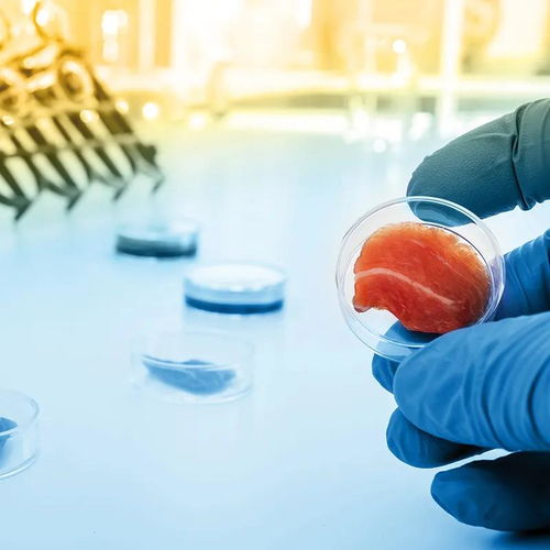 凱愛瑞發(fā)布2022全球風味圖譜，帝斯曼成立新食品飲料事業(yè)部——有料Weekly技術交流