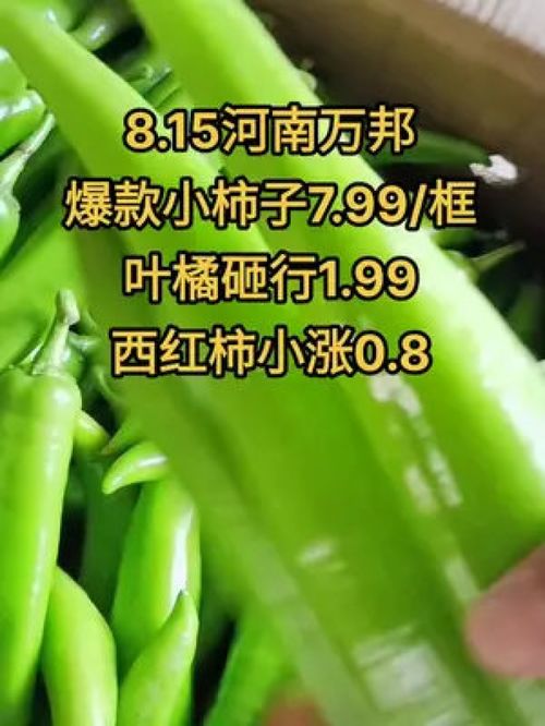 農產品市場行情持續低迷，水果蔬菜優質產品如何破局？