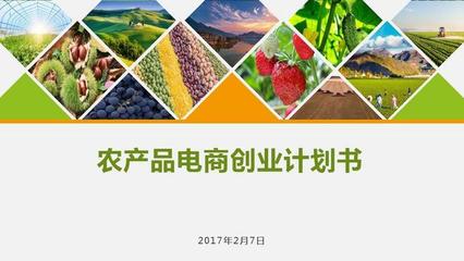 農(nóng)產(chǎn)品電商創(chuàng)業(yè)計(jì)劃書 構(gòu)建數(shù)字化生態(tài)，賦能現(xiàn)代農(nóng)業(yè)新未來(lái)